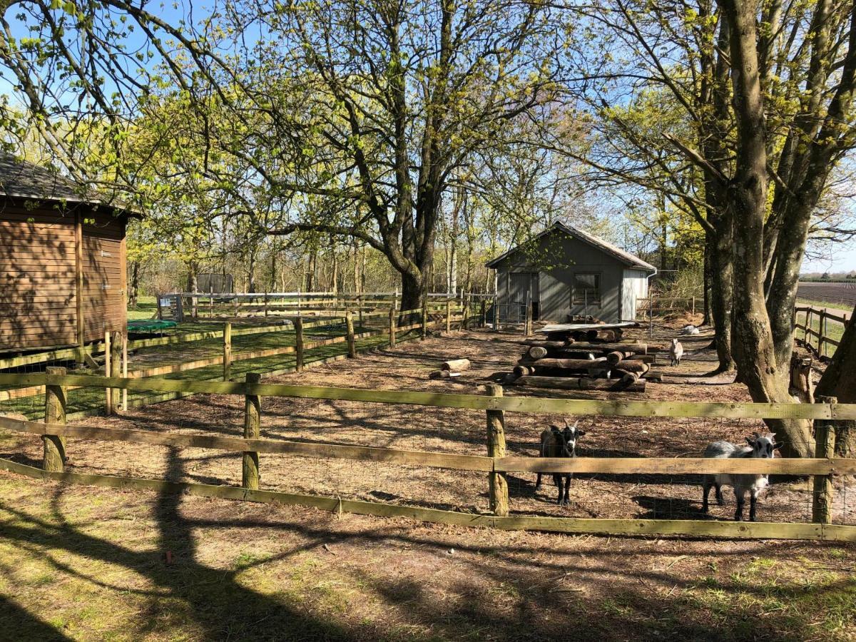 Hestkaer Family Rooms Summer Camp Krogager Exteriér fotografie